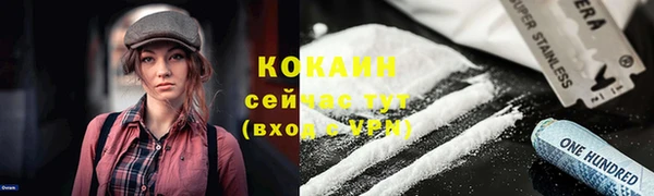 винт Ладушкин