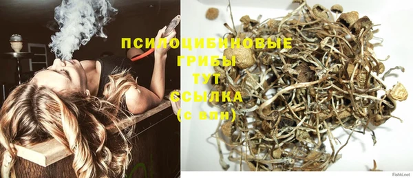 гашик Магас